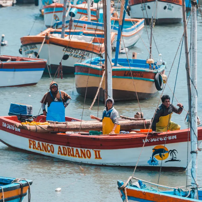 3 men in a small fishing boat on the water surrounded by other unmaned fishing boats