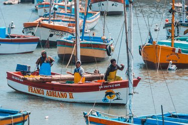 3 men in a small fishing boat on the water surrounded by other unmaned fishing boats