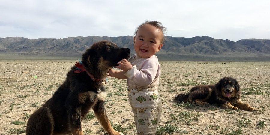 A baby stands smiling at the camera while a sitting puppy sniffs the baby's face face
