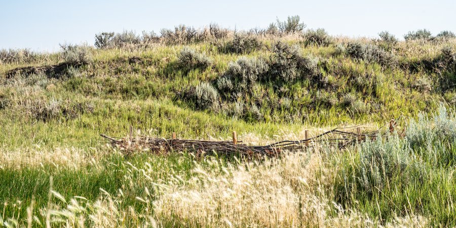 A man-made structure resembling a beaver dam in a field