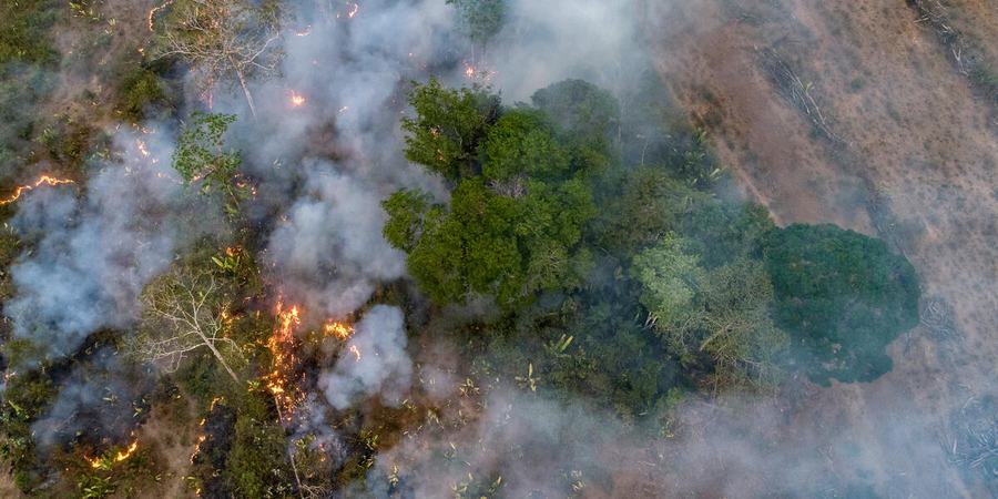 Aerial view of deliberate forest fire for planting soybeans