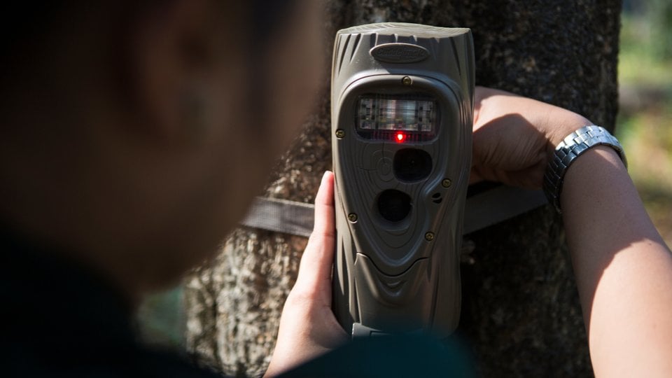 A camera trap is installed in Royal Manas National Park.