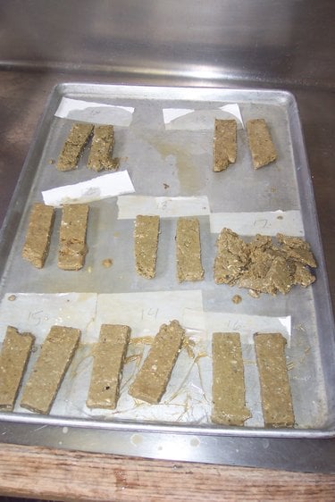 slices of "carpcake" on a tray