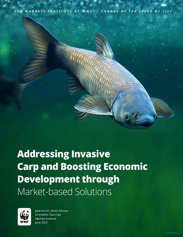 Addressing Invasive Carp and Boosting Economic Development through Market-based Solutions
