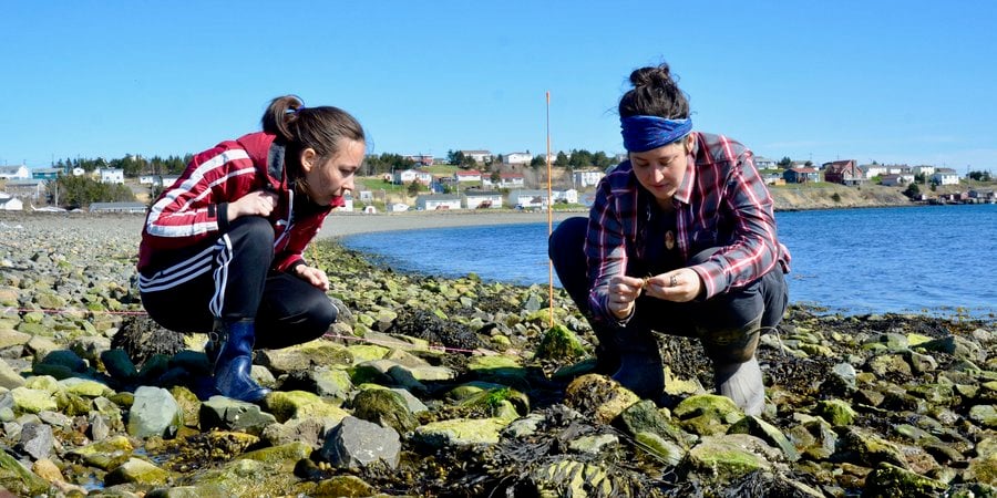 two women crouching down on a rocky shoreline examining rocks