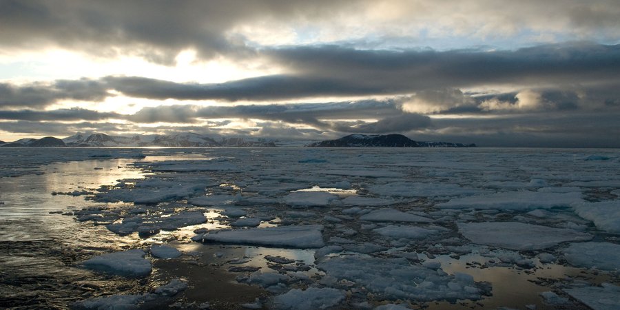 Climate change leads to the loss of sea ice in the Arctic, which leads to an increase in sea level rise.