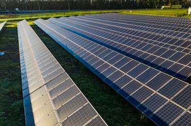 several rows of solar panels amid soil and green grass