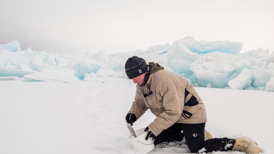 A color photo showing a scientist kneeling in the snow, using shovel to collect sample