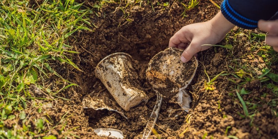 Compostable eating and drinking materials in the dirt.