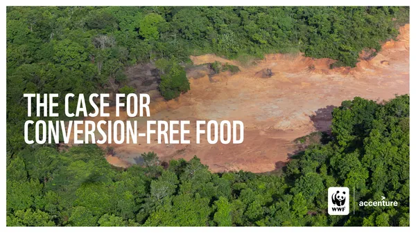 Cover for The Case for Conversion-Free Food featuring image of plot of deforested land