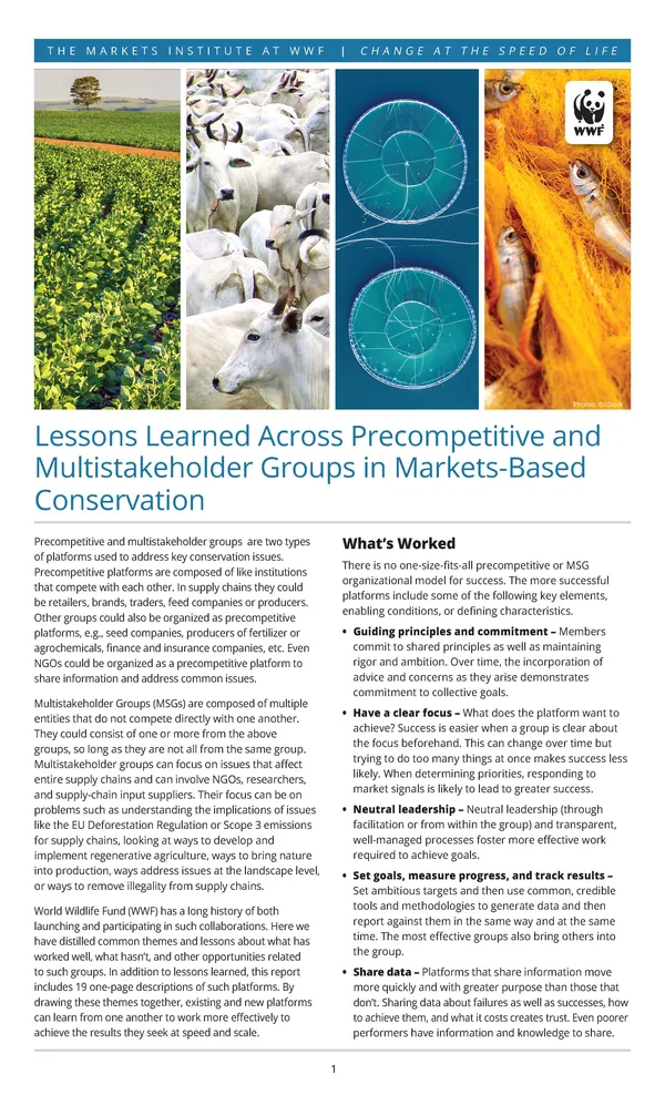 Cover image: Lessons Learned Across Precompetitive and Multistakeholder Groups in Markets-Based Conservation