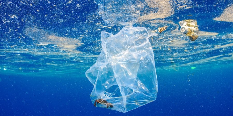 a crab floats inside a plastic bag in the Indian Ocean