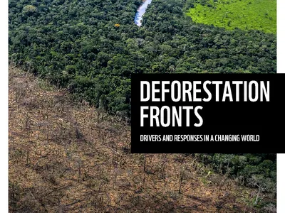 The cover of a report, featuring a color photo with dried shrubs in the foreground, lush green forests and a river in the background, a cover title reading "Deforestation Fronts," and with the WWF panda logo at the top left corner.