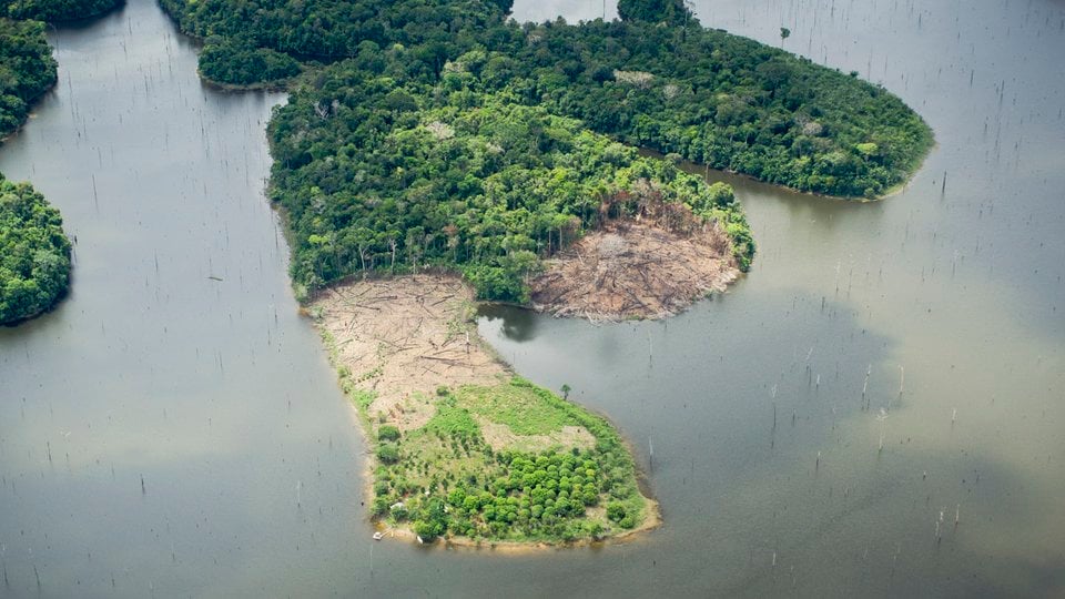 An aerial view of deforestation in the Amazon.
