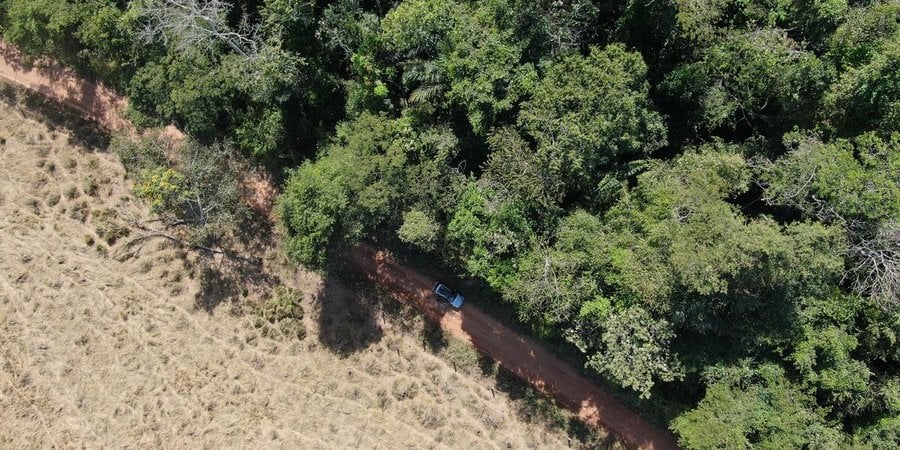 aerial view of stark contrast between forest and deforested land