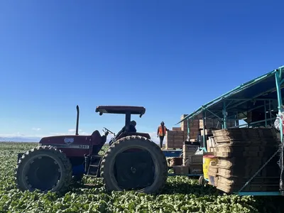 tractor in a field loaded with boxes