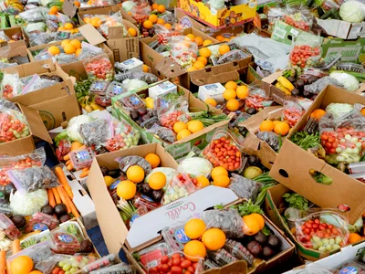 Boxes of colorful produce