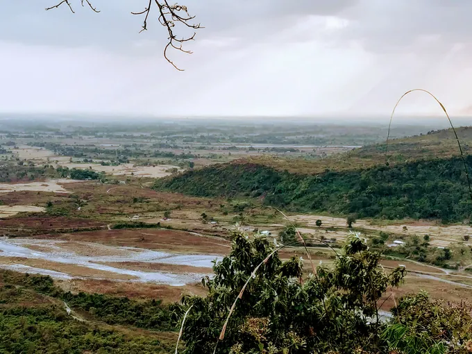 Forest loss due to human encroachment