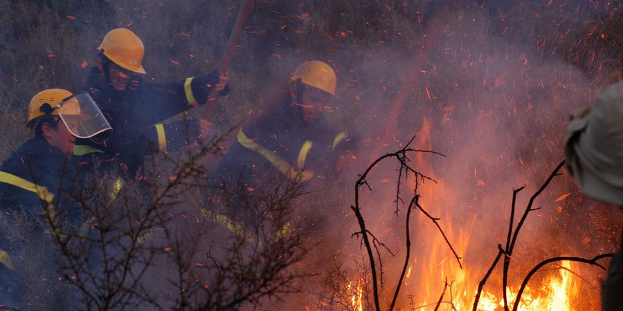 three fire fighters work to put out a forest fire