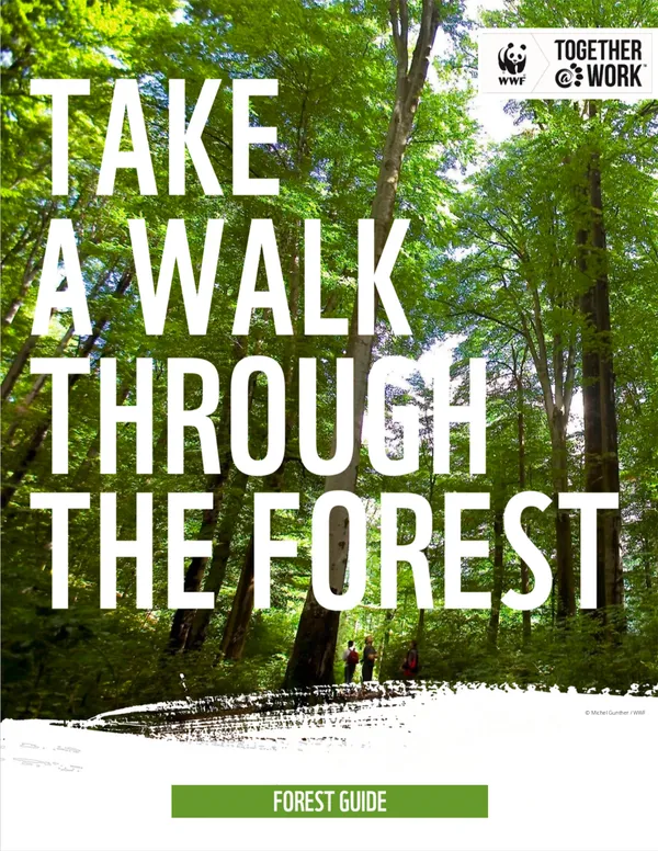 A report cover with large capitalized text overlaying an image of a forest with two people walking