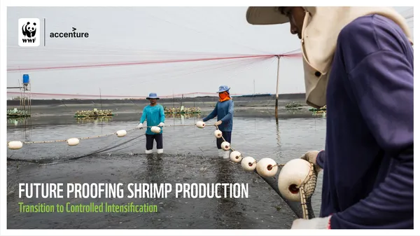 A report cover showing three people in hats and sun gear placing a bouyed net in a shallow body of water