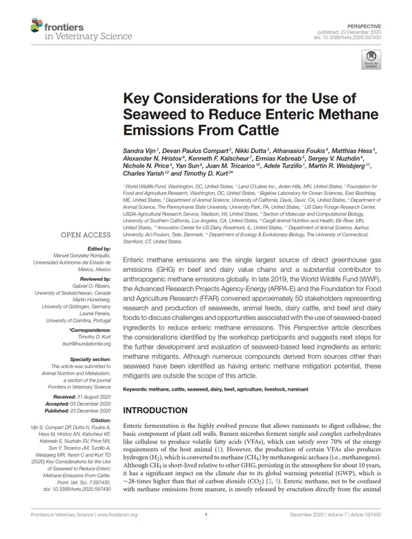 A white paper showing the title and first full page of text without any additional imagery