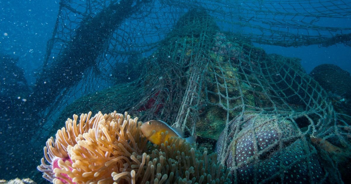 Stopping Ghost Gear | WWF Stopping Ghost Gear | WWF