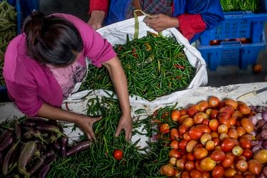 A woman sorting vegetables in large bags