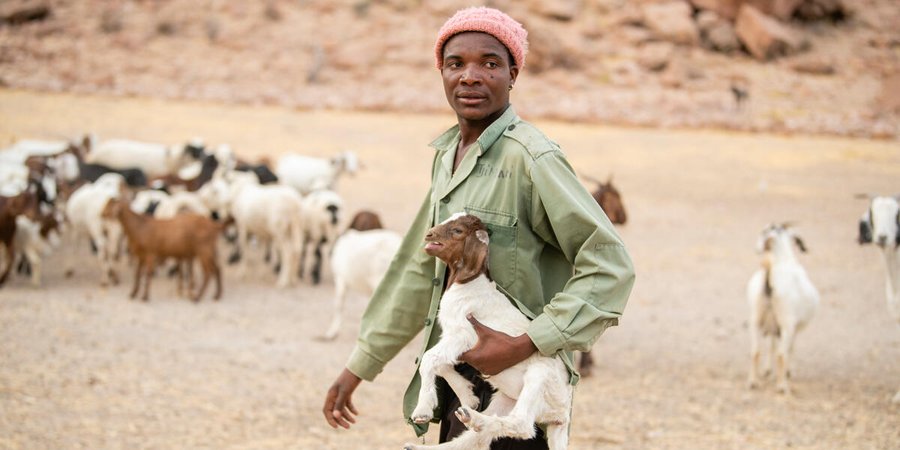Goat herder Tjimbari Kamendu holds a kid goat while he gathers his herd into a lion proof pen