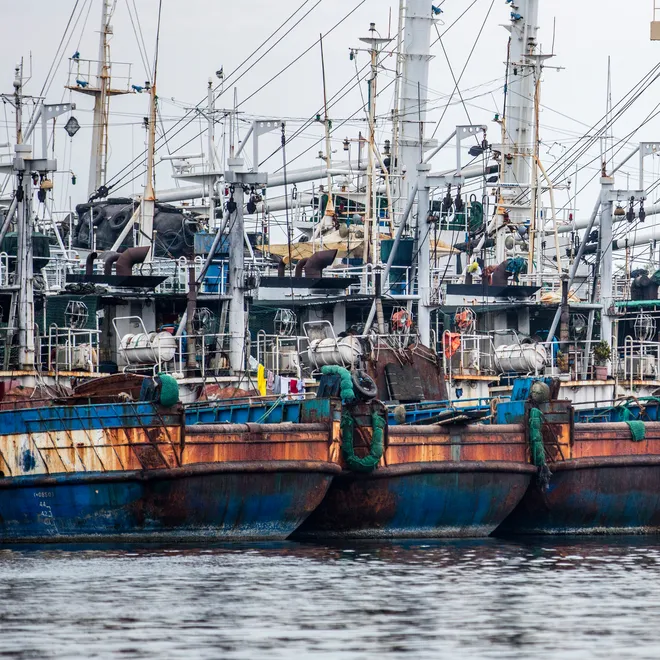 200 fishing boats were grounded because of IUU, company's license suspended. New minister of marine affairs and fisheries - Susi Pudjastuti - taking more hardine approach to fisheries law enforcement, Indonesia.