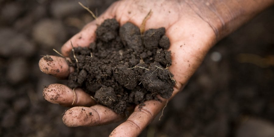 Close-up of a hand holding a pile of dirt