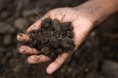 Close-up of a hand holding a pile of dirt