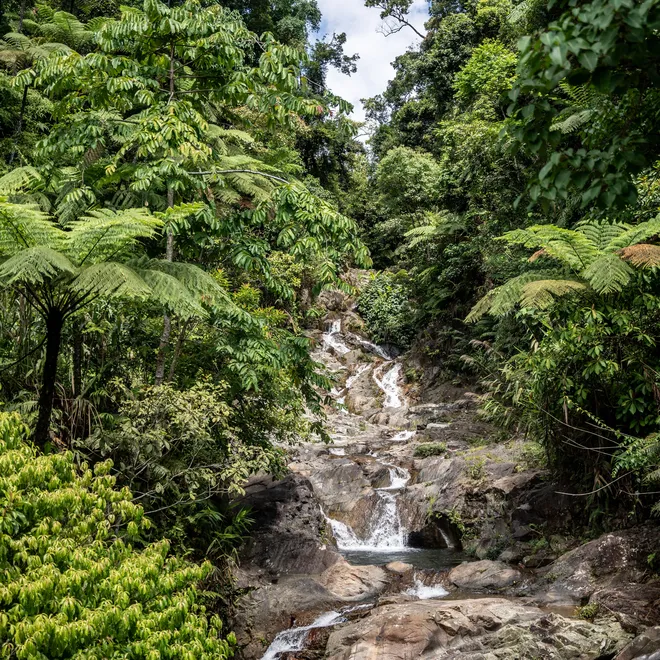 A waterfall flows in a dense green rainforest with a blue sky