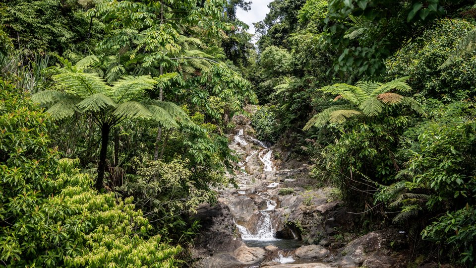 A waterfall flows in a dense green rainforest with a blue sky