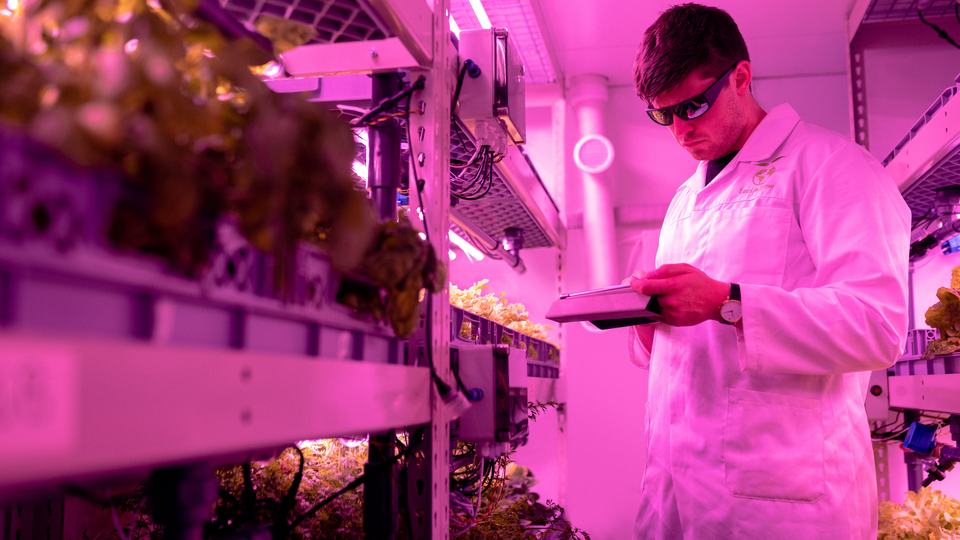 an engineer monitors crops in an indoor farm