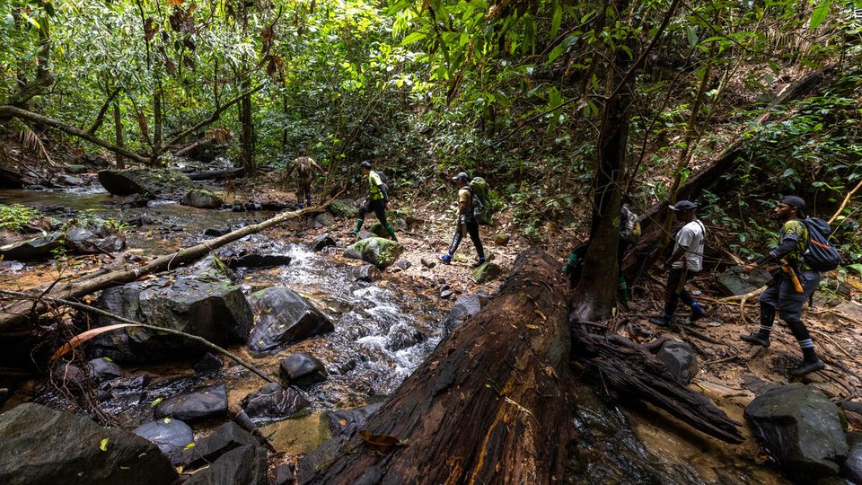 overhead view of three patrol members walking though Royal Belum State Park in Malaysia