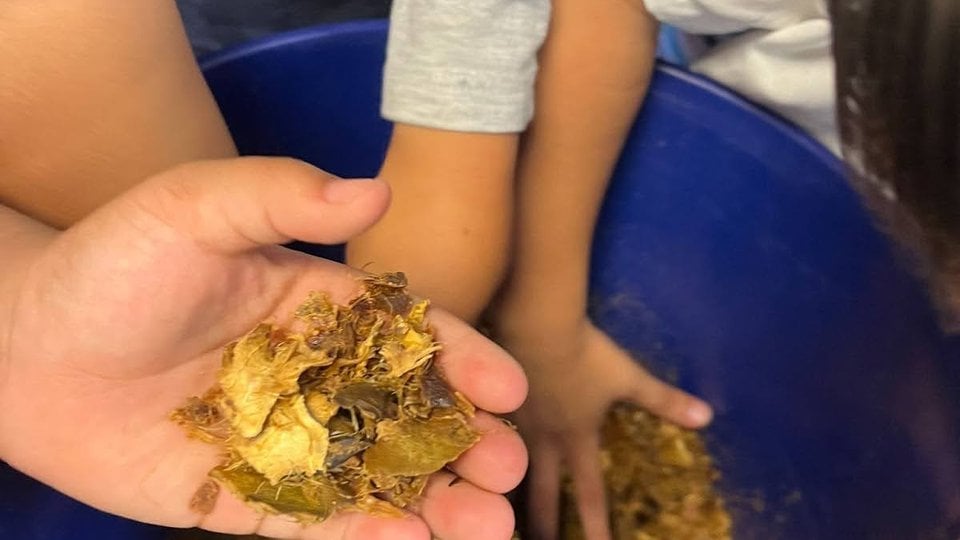 hands of children around compost bucket