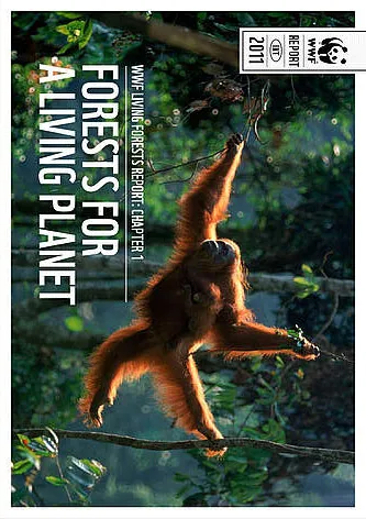 A report cover showing an orangutan swinging from a branch in the forest