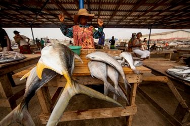Mami Pkpone, a local fish retailer selling yellowfin tuna at Tema market, Ghana.