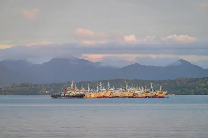a fleet of longline fishing vessels in Suva Harbour. Viti Levu, Fiji