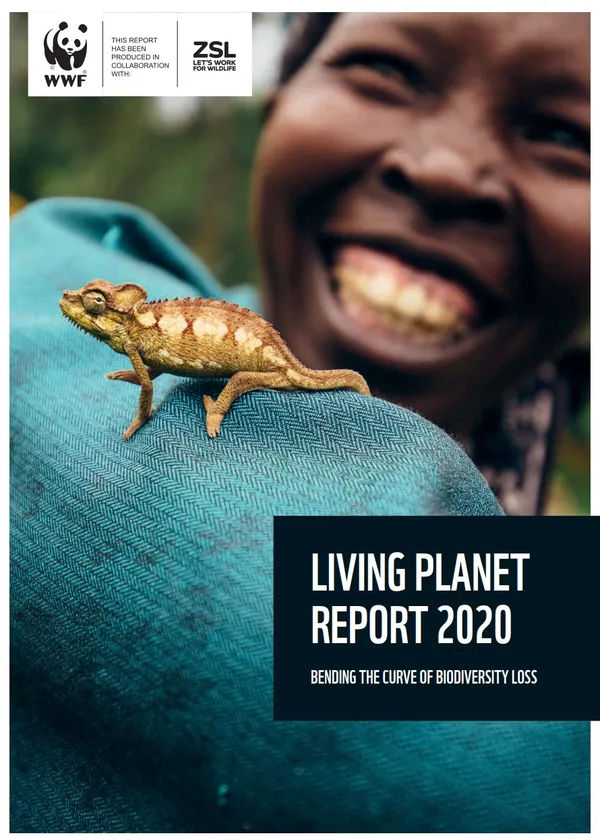 A report cover showing a person in a turquoise top smiling while a tiny chamelon sits on her arm