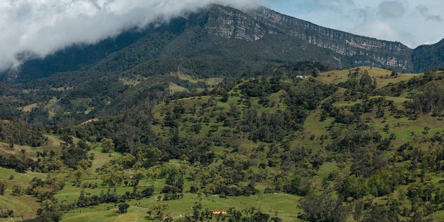 Landscape photo with mountain in background and cleared land in foreground