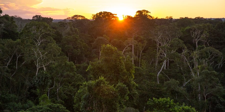 peruvian amazon sunset WW1103396 Day's Edge Productions