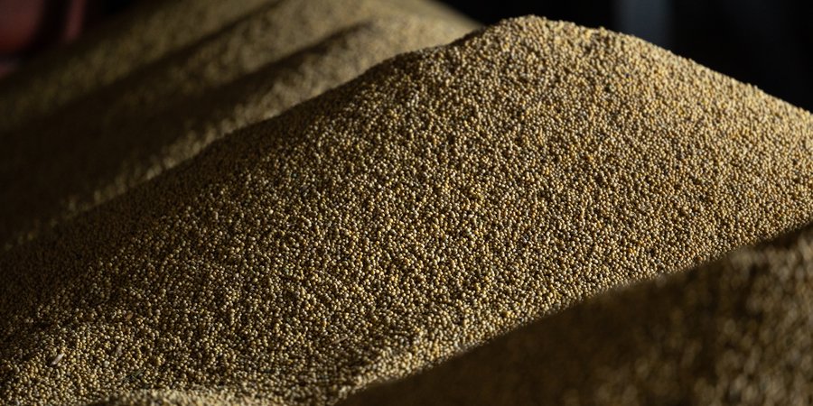 Massive piles of dried soybeans in storage.