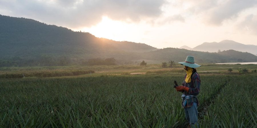 a person in a hat stands in a field with the sun setting behind hills