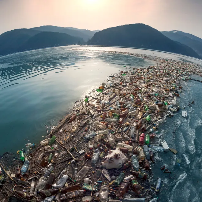 an island of trash in a body of water