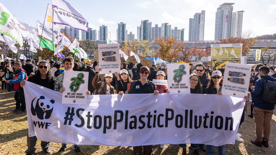 A group of people marching outdoors behind a banner that reads "#StopPlasticPollution"