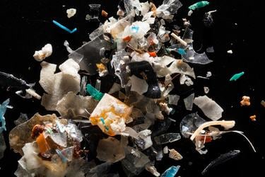 photo of plastic floating on top of water