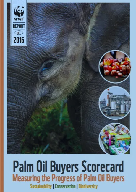 A report showing an extreme close up of an elephant's eye and three circles featuring various products with palm oil