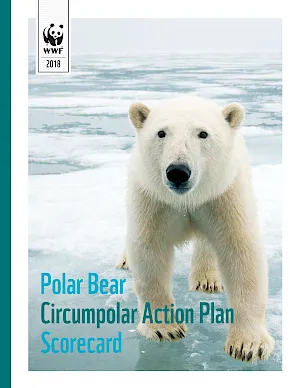 A report cover showing a polar bear on ice walking toward the camera